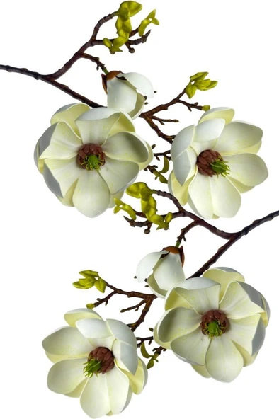 Nettenevime Yapay Çiçek Krem Eva Manolya 2 Çiçek 1 Tomurcuk Uzun Dal Çiçek Flowers 55cm Gerçeksi Doku - Resim 7