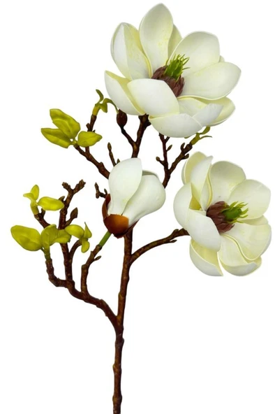 Nettenevime Yapay Çiçek Krem Eva Manolya 2 Çiçek 1 Tomurcuk Uzun Dal Çiçek Flowers 55cm Gerçeksi Doku - Resim 5