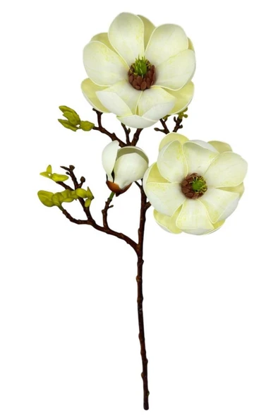 Nettenevime Yapay Çiçek Krem Eva Manolya 2 Çiçek 1 Tomurcuk Uzun Dal Çiçek Flowers 55cm Gerçeksi Doku ürün görseli