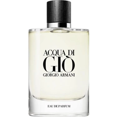 ACQUA DI GIO HOMME REFILLABLE 125ml EDP ürün görseli 1