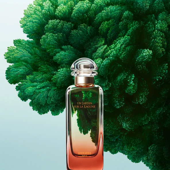 HERMES UN JARDIN SUR LA LAGUNE 100 ML EDT - Resim 3