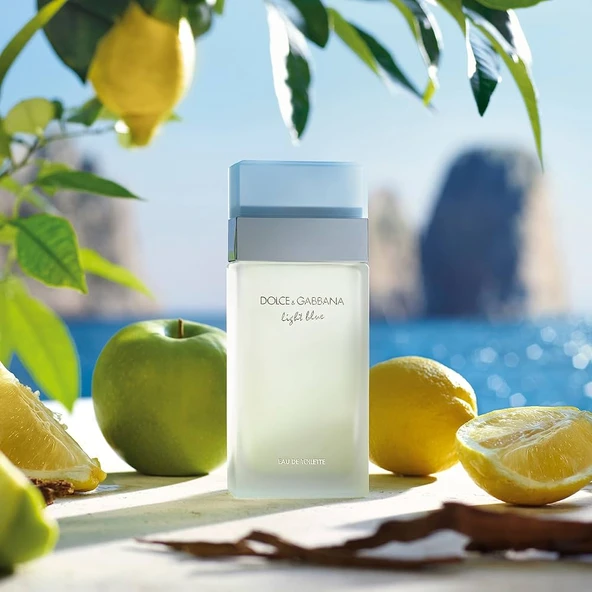 D&G LIGHT BLUE 100ml EDT - Resim 2