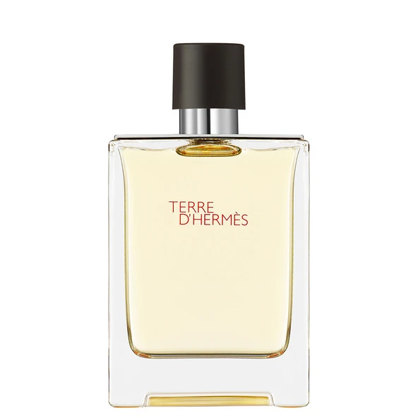 TERRE D HERMES 100ML EDT ürün görseli 1