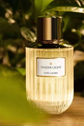 E.LAUDER TENDER LIGHT 100ml EDP - Resim 3