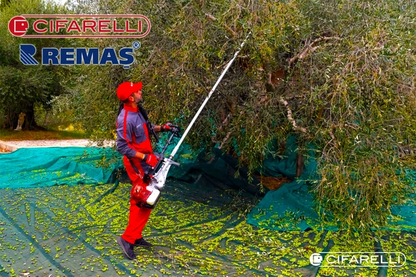 Cifarelli SC 800 Zeytin Ağaç Silkeleme Makinesi - 2