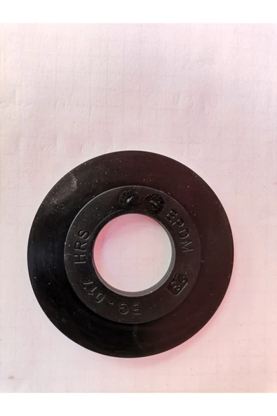 Fluidmaster Serel Gömme Rezervuar Boşaltma Grubu Contası 2,2X6,1