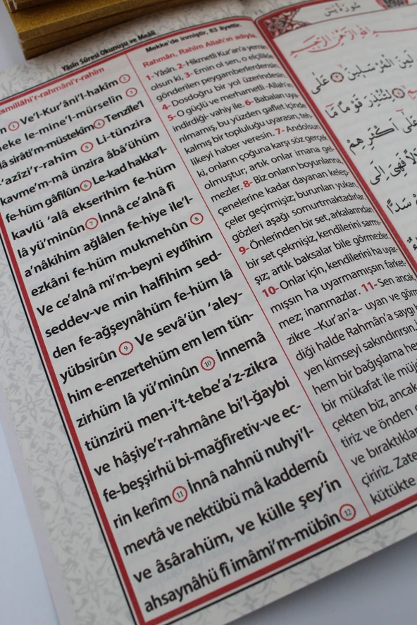 Hediyelik 10 Adet Ekonomik Sesli Yasin-i Şerif Açıklamalı ve Mealli Sarı 80shf Orta Boy(17x24cm) - 7