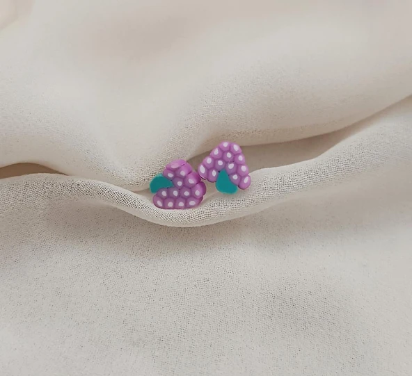 Küpe Çilek Minik Küpe Kadın Genç Kız Bebek küpesi Takı Aksesuar - 2