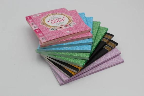 Hediyelik 10 adet Ekonomik Sesli Yasin-i Şerif Arapça-Türkçe Okunuşu ile Birlikte Çanta Boy(16x11cm)