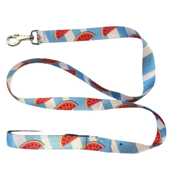 C&P Watermelon Köpek Gezdirme Kayışı 120 cm x 2,5 cm - 3