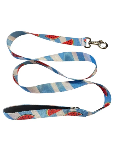 C&P Watermelon Köpek Gezdirme Kayışı 120 cm x 2,5 cm