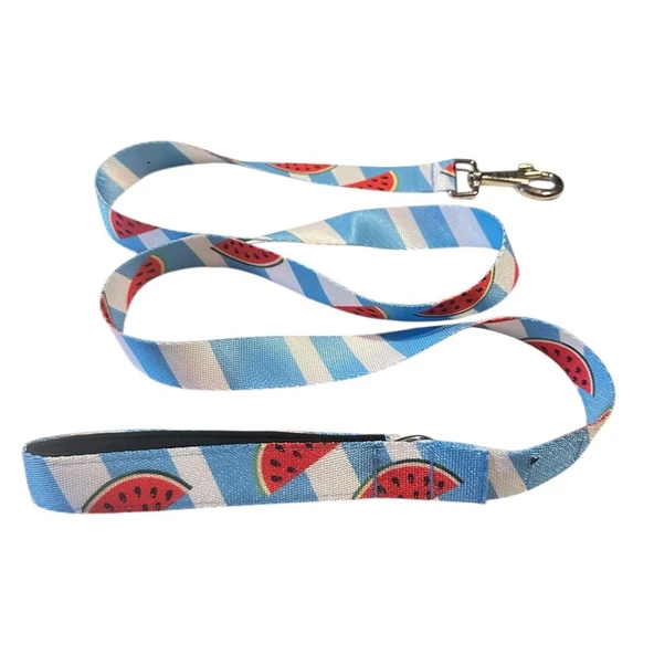C&P Watermelon Köpek Gezdirme Kayışı 120 cm x 2,5 cm - 2