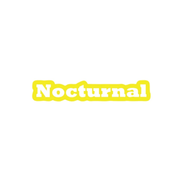 Nocturnal Araba Sticker 17x17 Cm Sarı