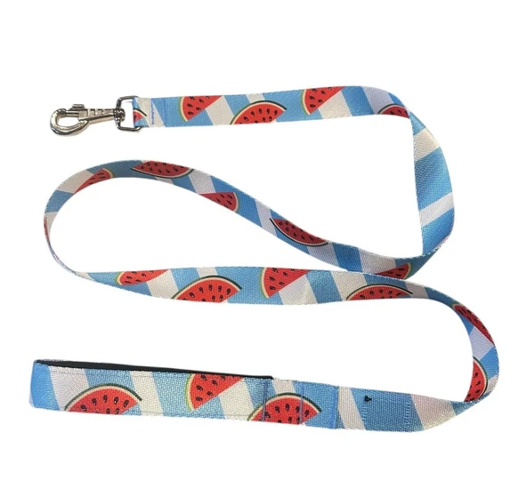 C&P Watermelon Köpek Gezdirme Kayışı 120 cm x 2,5 cm - 4