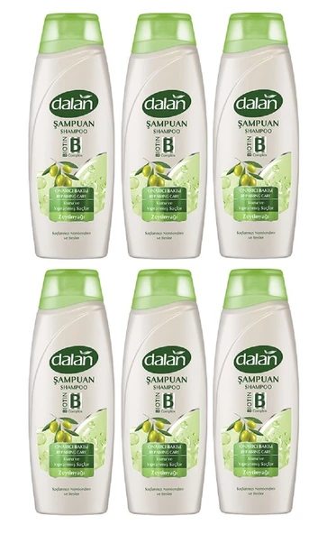 Dalan Şampuan Zeytinyağlı Onarıcı Bakım 450 Ml x 6 Adet