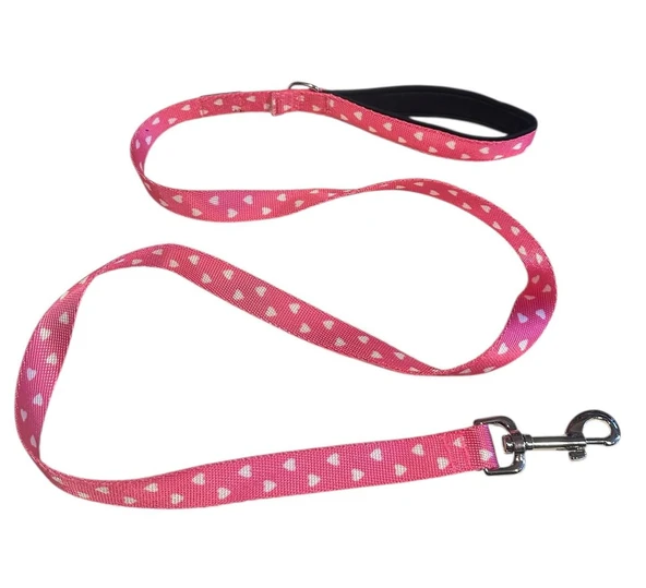 C&P Cute Pink Köpek Gezdirme Kayışı 120 cm x 2 cm - 2