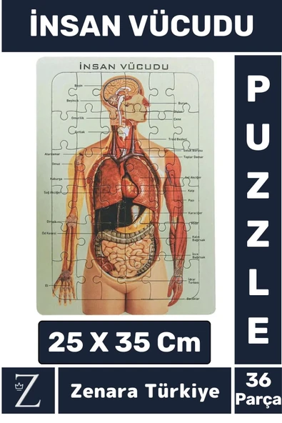 Premium Eğlenceli Eğitici Görsel Algı Motor Becerisi Geliştiren Çocuk PUZZLE 36 Parça İNSAN VÜCUDU ürün görseli