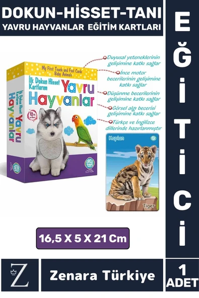 Çocuk Eğitici Görsel Algı Koordinasyon Eğlenceli DOKUN-HİSSET-TANI Eğitim Kartları YAVRU HAYVANLAR ürün görseli