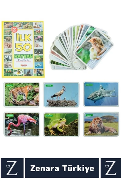 Okul Öncesi Koordinasyon Görsel Algı Geliştirici Hayvan İsimleri Öğretici Eğlenceli İLK 50 HAYVAN - 2