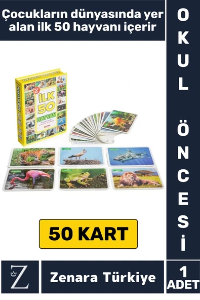 Okul Öncesi Koordinasyon Görsel Algı Geliştirici Hayvan İsimleri Öğretici Eğlenceli İLK 50 HAYVAN