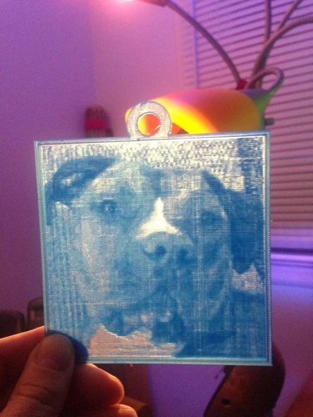 Pitbull Lithopane2 (Plastik Aparattır!!!)