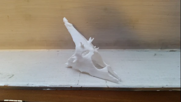 Byr Angmar Maskesinin Büyüsü (Plastik Aparattır!!!) 3D - Resim 5