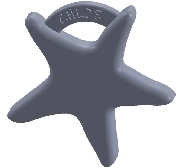 Byr Chloe denizyıldızı kolye cazibesi (Plastik Aparattır!!!) 3D - Resim 2