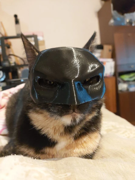 Byr CatBat Maskesi sabit geometri (Plastik Aparattır!!!) 3D - 3