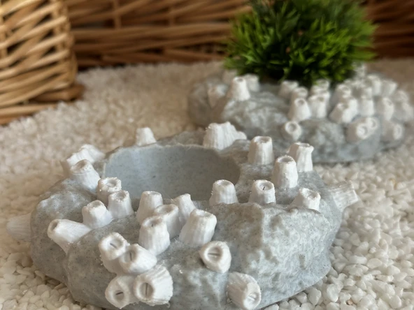 Mini Barnacle Kasesi (Plastik Aparattır!!!) - 3