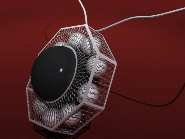 Byr Siyah İnci Oryantal Kolye (Sadece Plastik Aparattır!!!) 3D ürün görseli