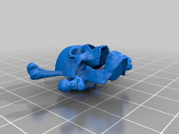 Byr Crocs - Kafatası ve Kemiklerin düğmesi (Plastik Aparattır!!!) 3D - 2