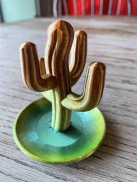 Byr Kaktüs Yüzük Tutacağı (Sadece Plastik Aparattır!!!) 3D - Resim 3