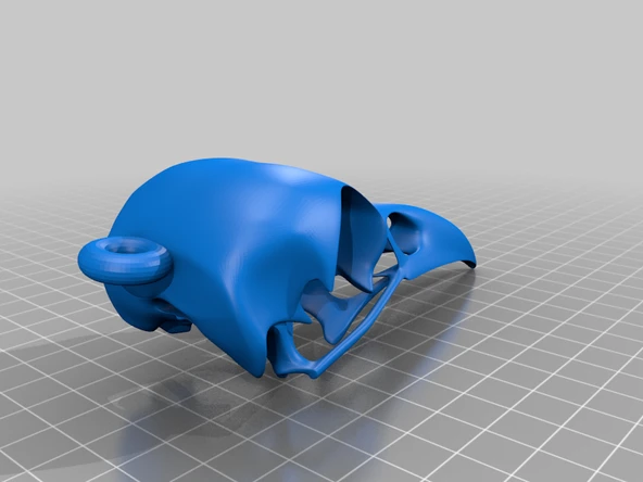 Byr Kuzgun Kafatası Kolye (Sadece Plastik Aparattır!!!) 3D - Resim 3