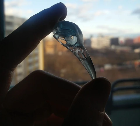 Byr Kuzgun Kafatası Kolye (Sadece Plastik Aparattır!!!) 3D ürün görseli 1