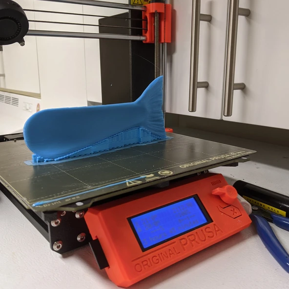 Byr Somon kuyruğu ile ayakkabı (Sadece Plastik Aparattır!!!) 3D - 3