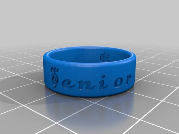 Byr Kıdemli yüzük (Plastik Aparattır!!!) 3D ürün görseli