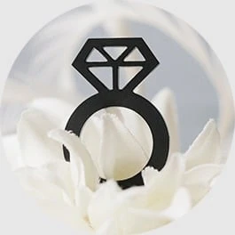 Byr elmas yüzük (Plastik Aparattır!!!) 3D ürün görseli