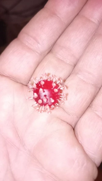 Byr covid19 küpe (Sadece Plastik Aparattır!!!) 3D - 3