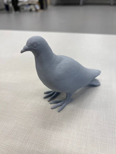 Küçük Güvercin (Plastik Aparattır!!!) - 5