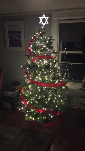 Byr Davut'un Kalkanı/Davut'un Yıldızı Ağacı/Bush kaban. (Sadece Plastik Aparattır!!!) 3D - Resim 3