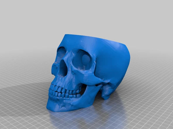 Byr Kafatası kasesi (Plastik Aparattır!!!) 3D - 3