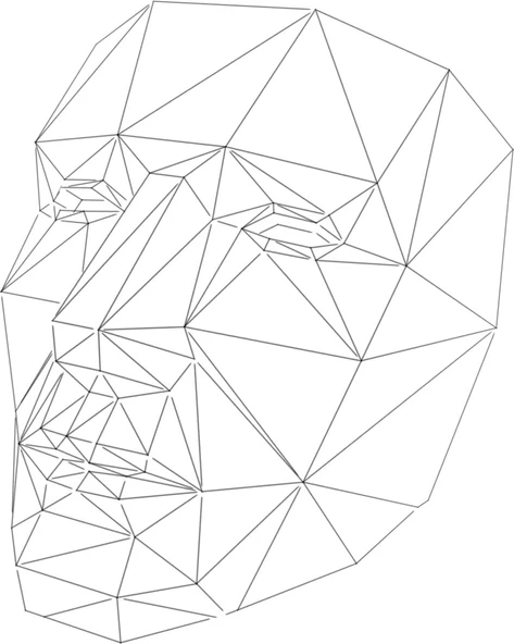 Byr Düşük Poligon Yazdırılabilir Maske (Plastik Aparattır!!!) 3D ürün görseli