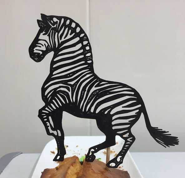 Zebra kek kaban (Plastik Aparattır!!!)