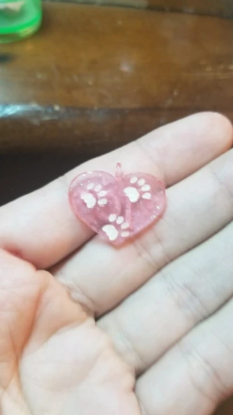 Byr Pençe Kolye (Plastik Aparattır!!!) 3D ürün görseli