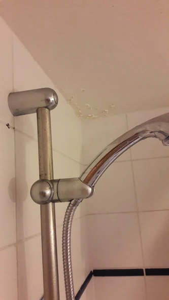 Byr Duş başlığı desteği (Sadece Plastik Aparattır!!!) 3D ürün görseli