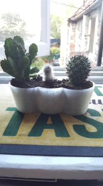 Mini kaktüs ekici (Plastik Aparattır!!!)