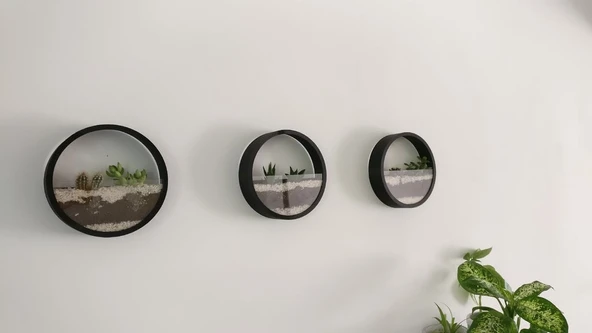 Byr Teraryum (Sadece Plastik Aparattır!!!) 3D