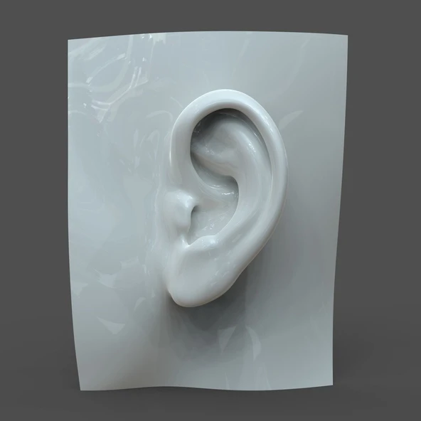 Gerçekçi kadın kulak modeli F1P1D0V1ear (Plastik Aparattır!!!)