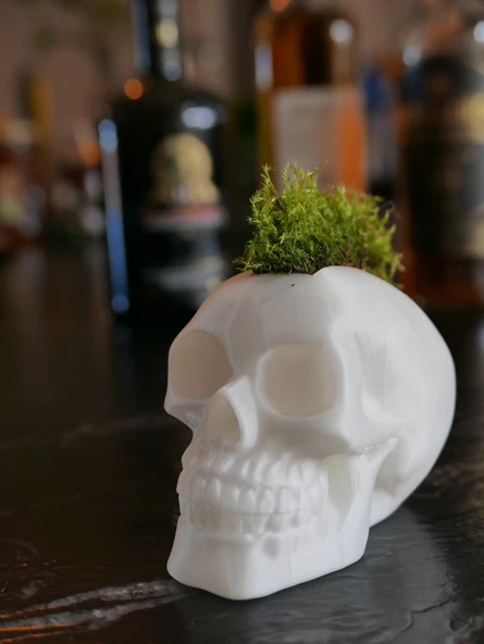 Moss Mohawk Saç Modeli ile Kafatası (Plastik Aparattır!!!) - 2