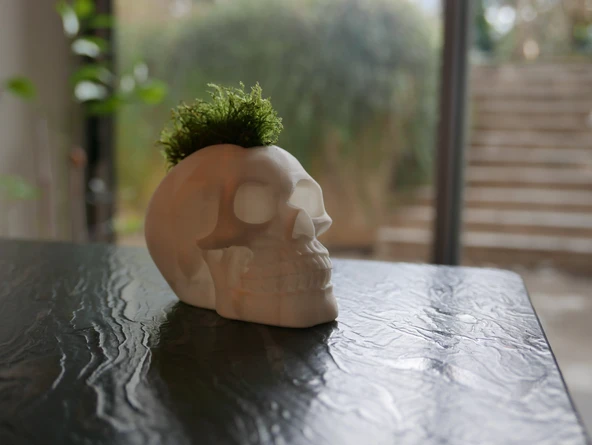Moss Mohawk Saç Modeli ile Kafatası (Plastik Aparattır!!!) - 4
